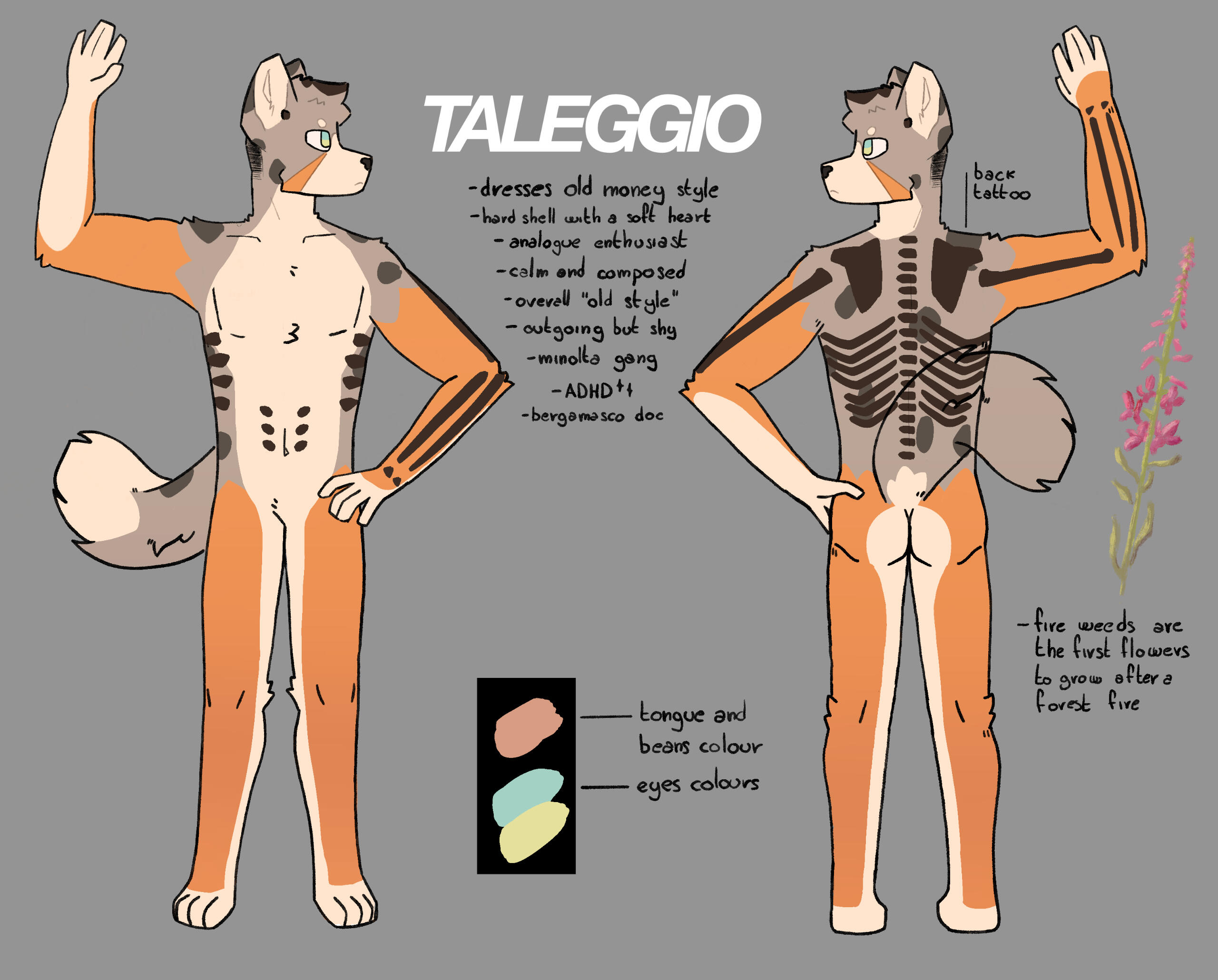 Ref Sheet